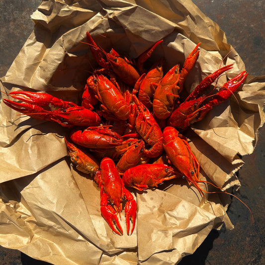 best cajun seafood boil near me